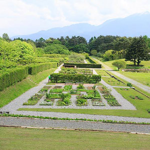 シミック八ヶ岳薬用植物園