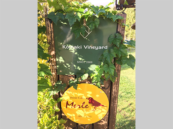 Komaki Vineyard